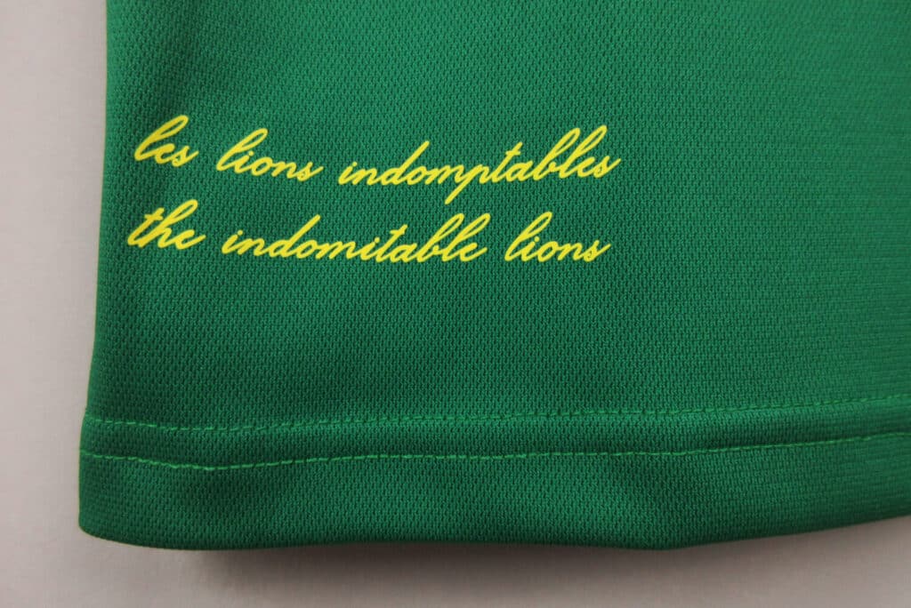 Cameroon CAN Home Kit – Fan Version