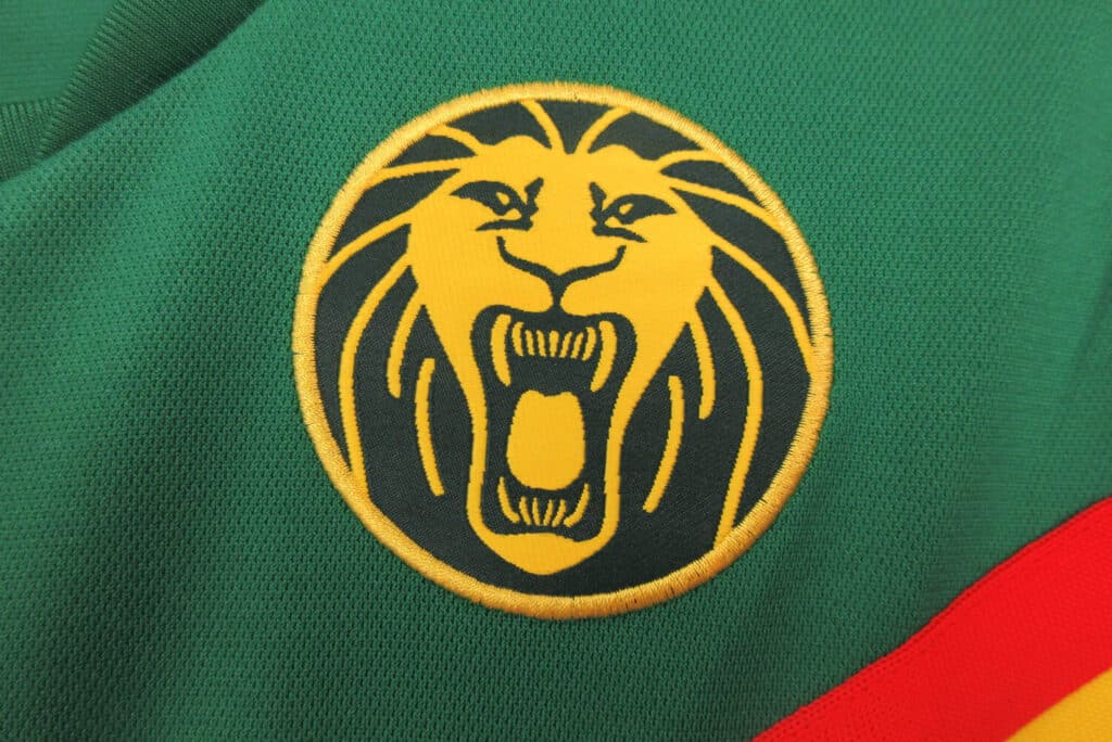 Cameroon CAN Home Kit – Fan Version