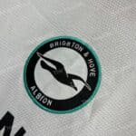 Brighton _ Hove Albion Third (2)