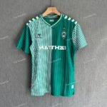 SV Werder Bremen Home (1)