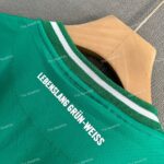 SV Werder Bremen Home (6)