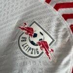 Leipzig Home Player Version (2)