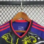 Japan football kit jersey