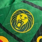 Cameroon Home (4)