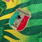 Mali Africa Cup Away Player Version (2)