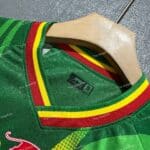 Mali Africa Cup Away Player Version (3)