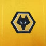 Wolverhampton 23/24 Home Kit