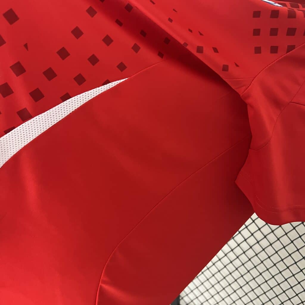 Chile 2024 Home Kit – Fan Version