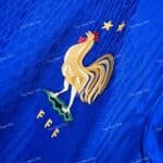 France Home Player Version (2)