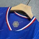 France Home Player Version (3)