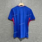 France Home Player Version (7)