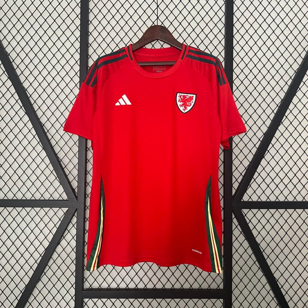 Wales EURO 2024 Home Kit – Fan Version