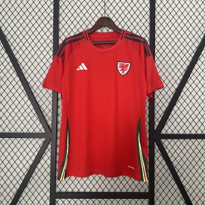 Wales EURO 2024 Home Kit - Fan Version