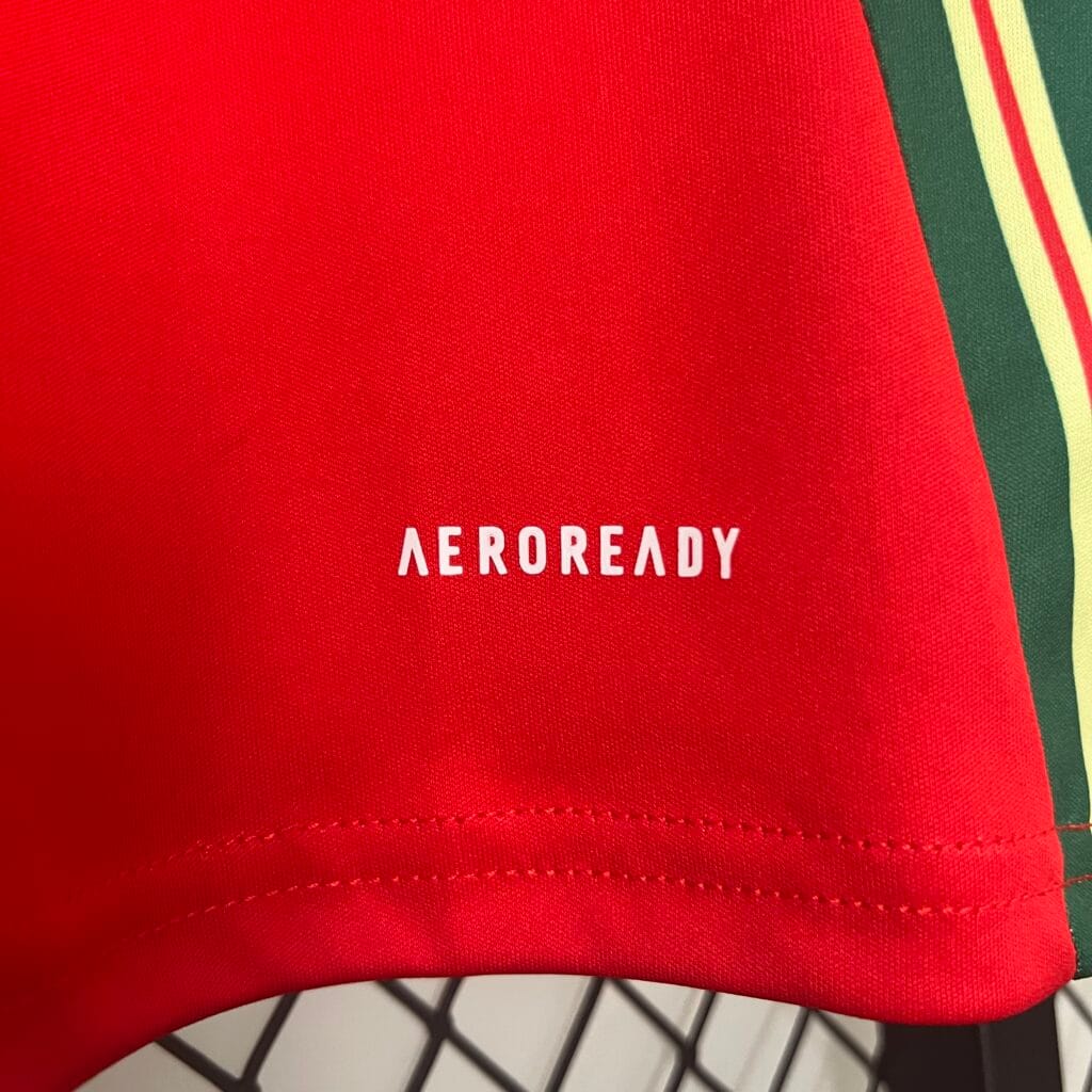 Wales EURO 2024 Home Kit – Fan Version