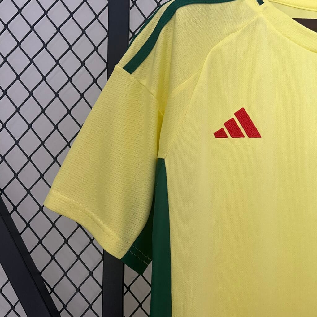 Wales EURO 2024 Away Kit – Fan Version