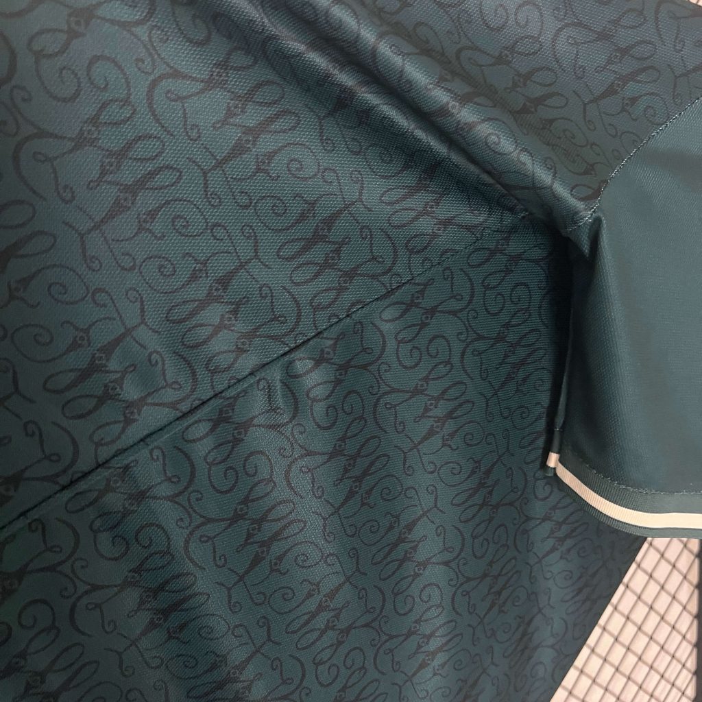 Werder Bremen 24/25 Special Kit – Fan Version