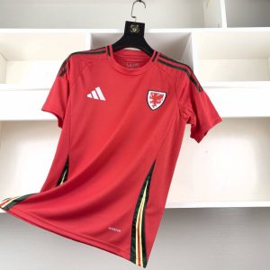 Wales 2024 Home Kit - Fan Version