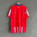 Atletico Madrid Home (7)