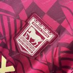 Ipswich Town Away (2)