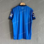 Ipswich Town Home (7)