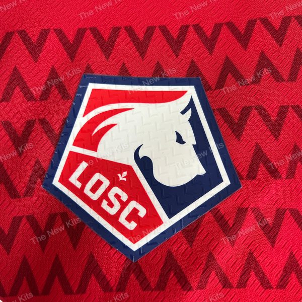 Lille Home Player Version (2) Lille Home Player Version (2)