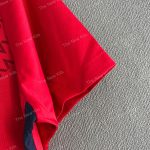 Lille Home Player Version (4)