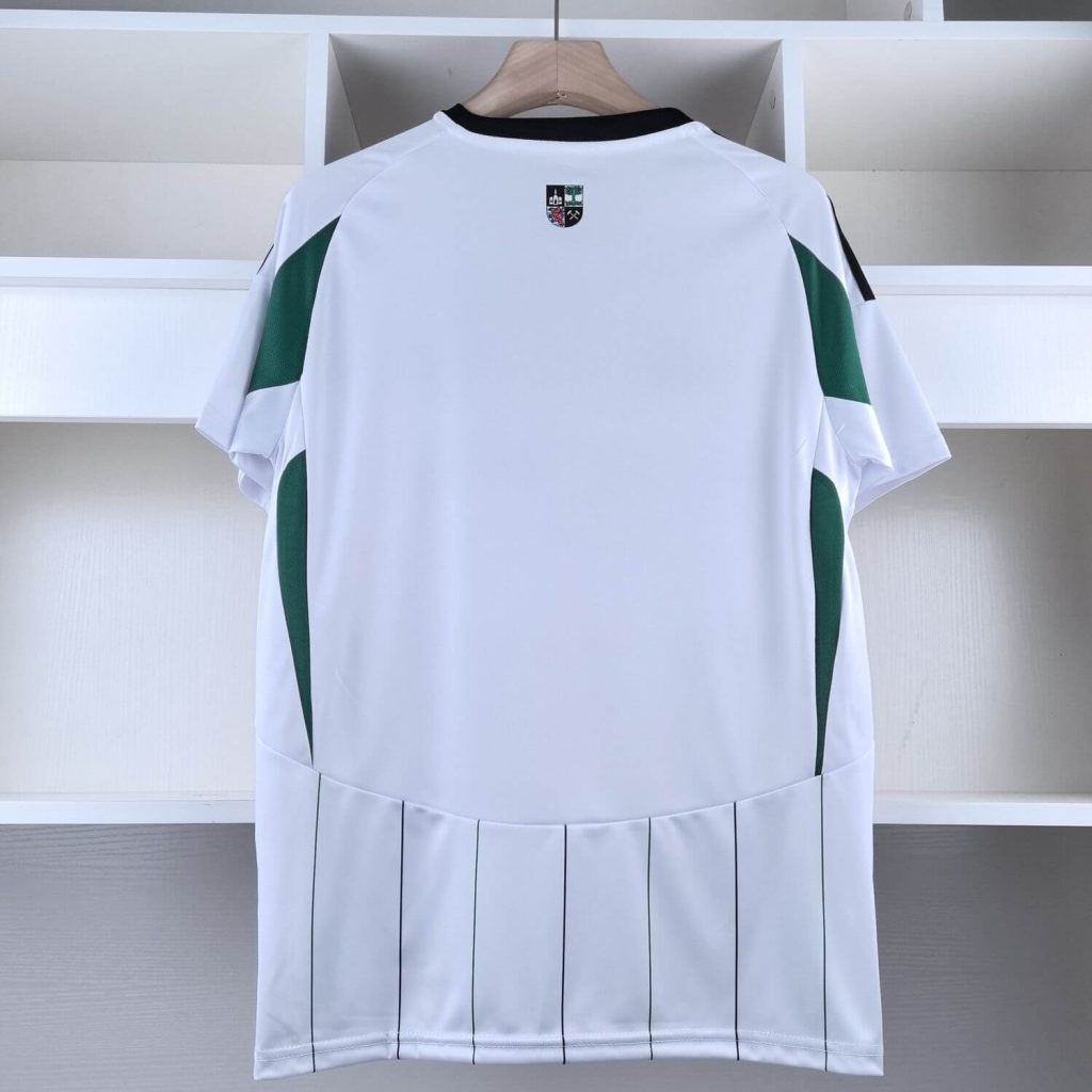 Schalke 24/25 Away Kit – Fan Version