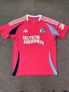 Schalke 24/25 Special Pink Kit – Fan Version
