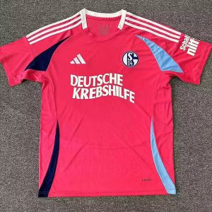 Schalke 24/25 Special Pink Kit - Fan Version