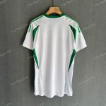 Al-Ahli Home Player Version (7)