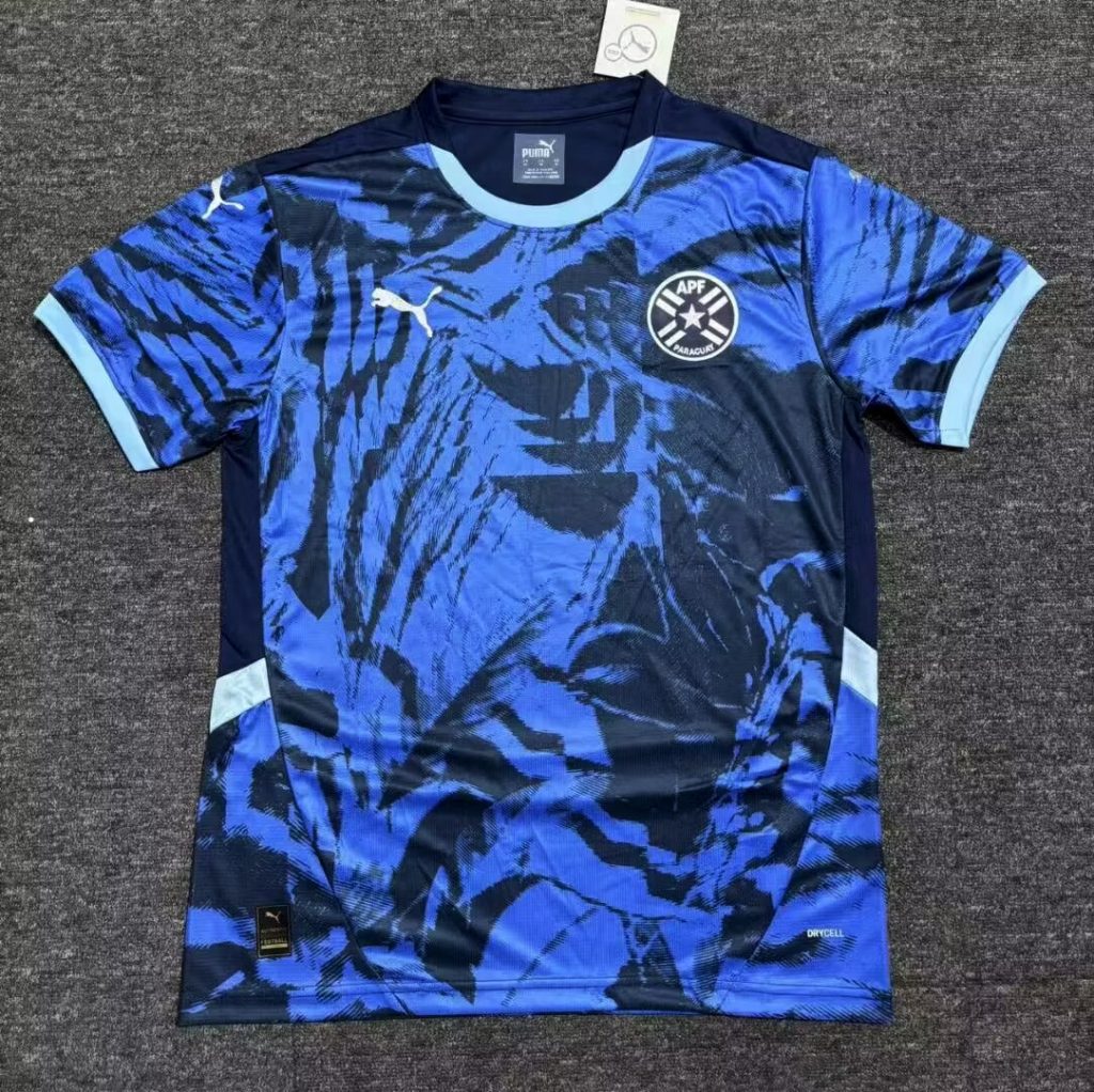 Paraguay 2024 Away Kit – Fan Version