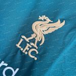 Liverpool Concept Green (2)