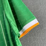 Celtic Irish Origins (4)