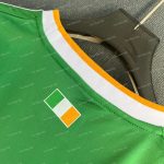 Celtic Irish Origins (6)