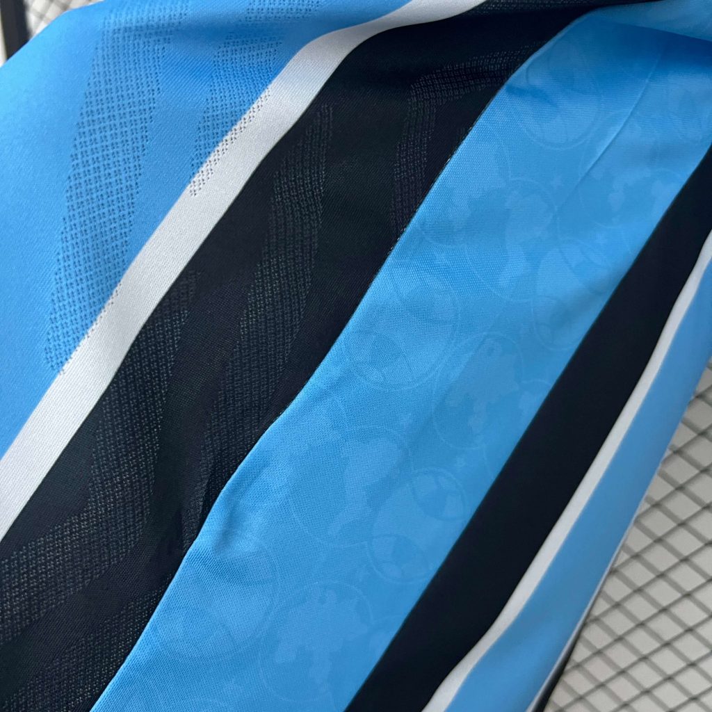 Gremio 25/26 Home Kit – Fan Version