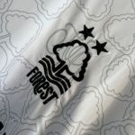 Nottingham Forest Away (2)