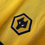 Wolverhampton Wanderers Home (2)