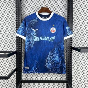 Hansa Rostock 25/26 Home - Fan Version