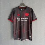 Leverkusen Home (1)