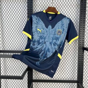 Fenerbahce 2024/25 Third Kit - Fan Version