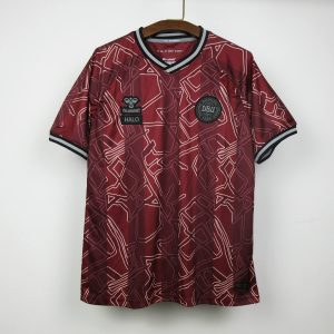 Denmark EURO 2024 Training Kit  - Fan Version