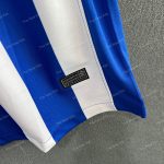 Brighton & Hove Albion Home (5)-min