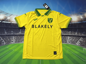 Norwich City 25/26 Home Kit - Fan Version