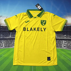 Norwich City 25/26 Home Kit - Fan Version