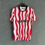 stoke city kit