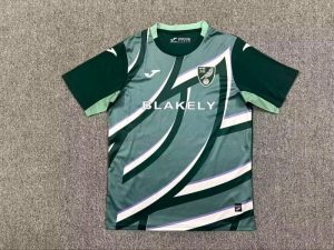 Norwich City 25/26 Away Kit - Fan Version