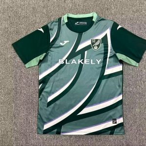 Norwich City 25/26 Away Kit - Fan Version