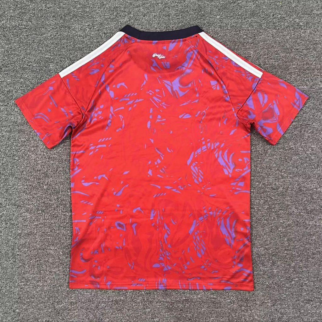 Costa Rica 2026 World Cup Home – Fan Version