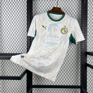 Senegal 2026 World Cup Home Kit- Fan Version