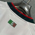 Mexico Away (6)